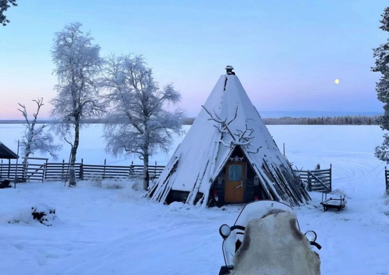 Levi: Lapland Reindeer Safari - Accessibility Considerations