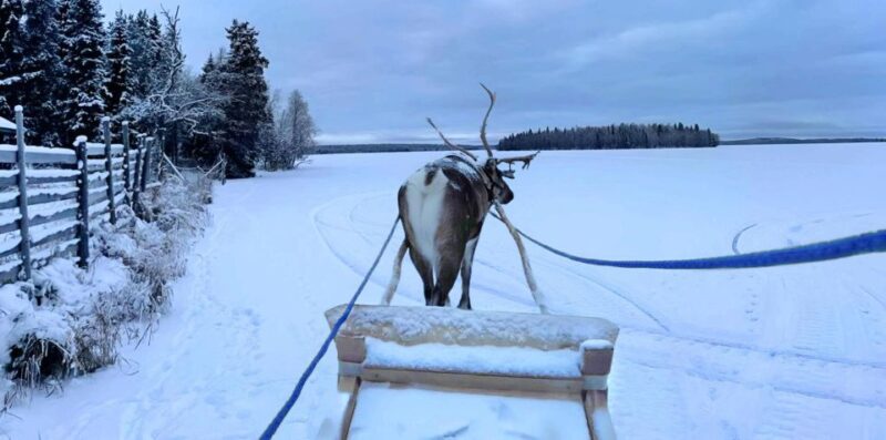 Levi: Lapland Reindeer Safari - Pickup and Drop-off Locations