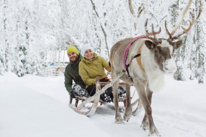 Levi: Lapland Reindeer Safari - Preparing for the Safari
