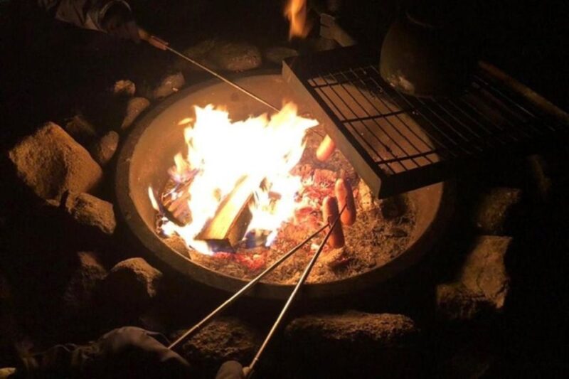 Levi: Northern Lights Hunt Including Campfire Snacks - Inclusions