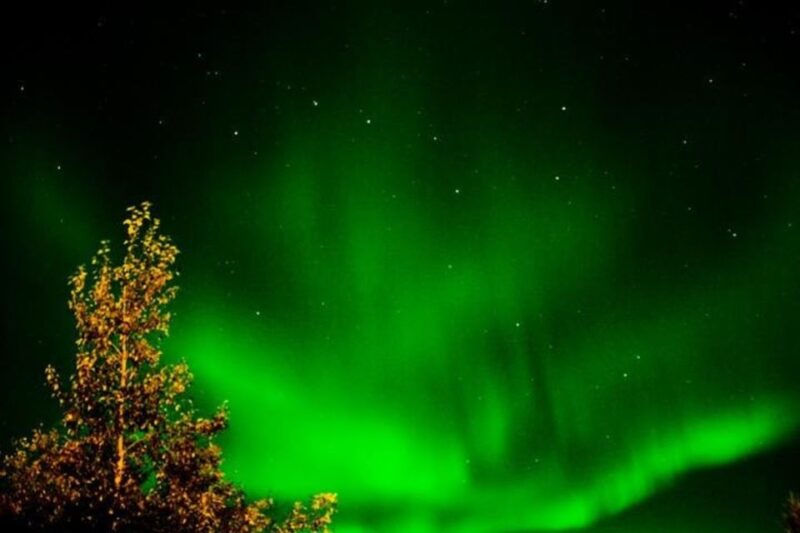Levi: Northern Lights Hunt Including Campfire Snacks - Customer Feedback