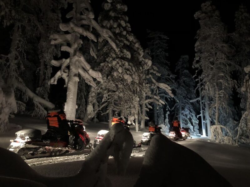 Levi: Northern Lights Snowmobile Tour With Snacks and Drinks - Tour Overview and Pricing