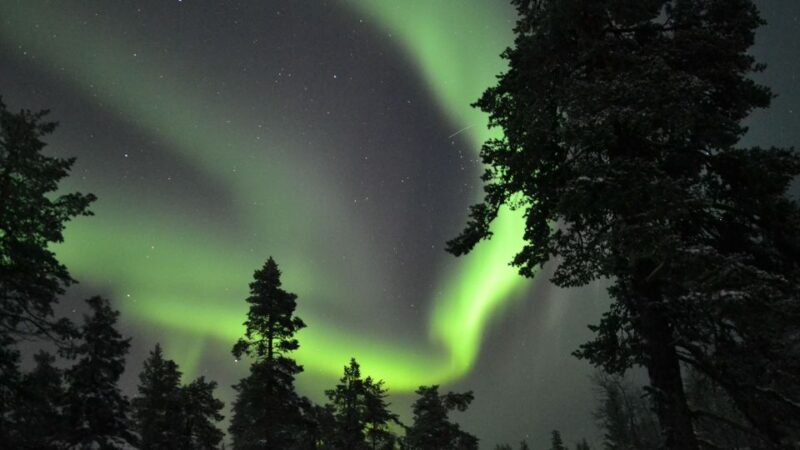 Levi: Northern Lights Snowmobile Tour With Snacks and Drinks - Important Information
