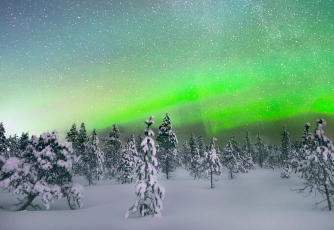 Levi: Northern Lights Snowmobile Tour With Snacks and Drinks - Sum Up