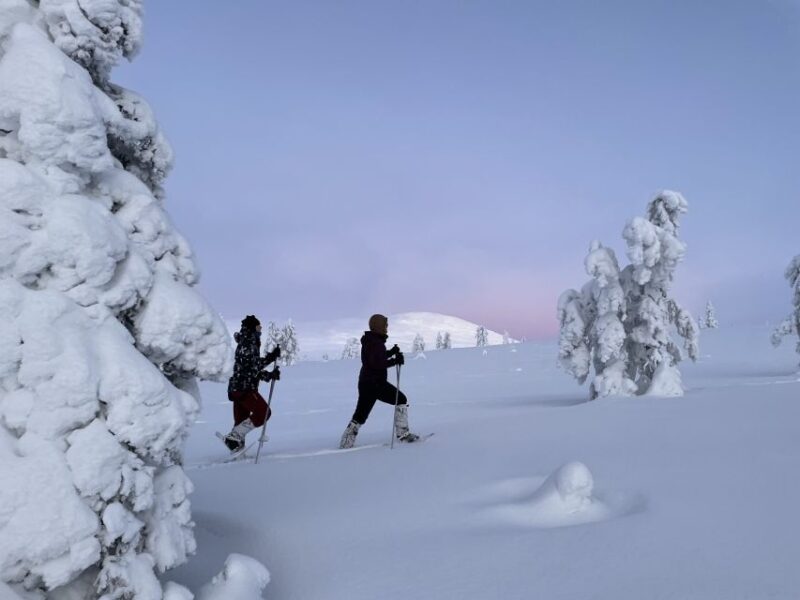 Levi: Pallas-Yllästunturi National Park Snowshoeing Tour - Tour Overview