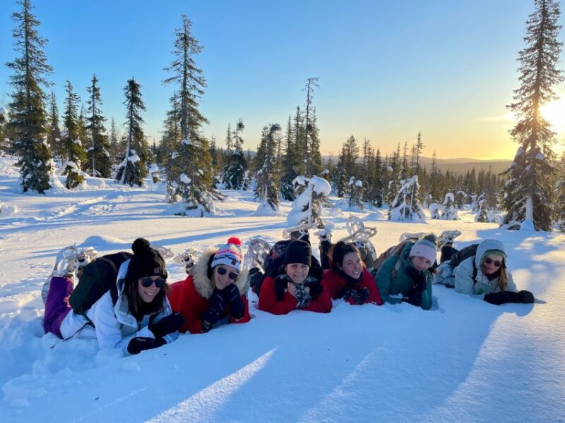Levi: Pallas-Yllästunturi National Park Snowshoeing Tour - Itinerary Details