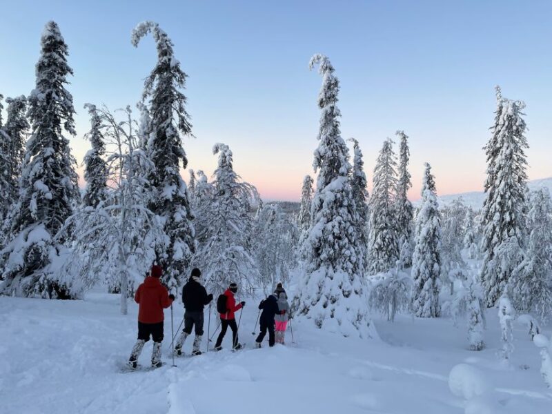Levi: Pallas-Yllästunturi National Park Snowshoeing Tour - Customer Reviews
