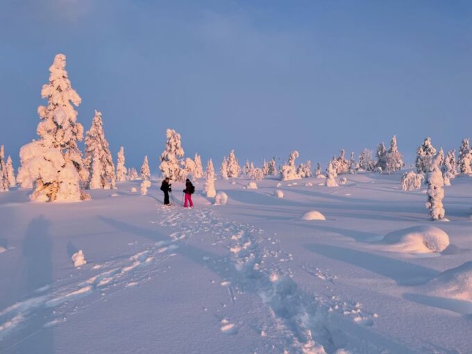 Levi: Pallas-Yllästunturi National Park Snowshoeing Tour - Scenic Drive