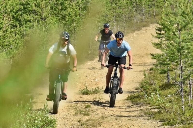 Levi: Pallastunturi National Park E-Fatbiking Tour - Route Details