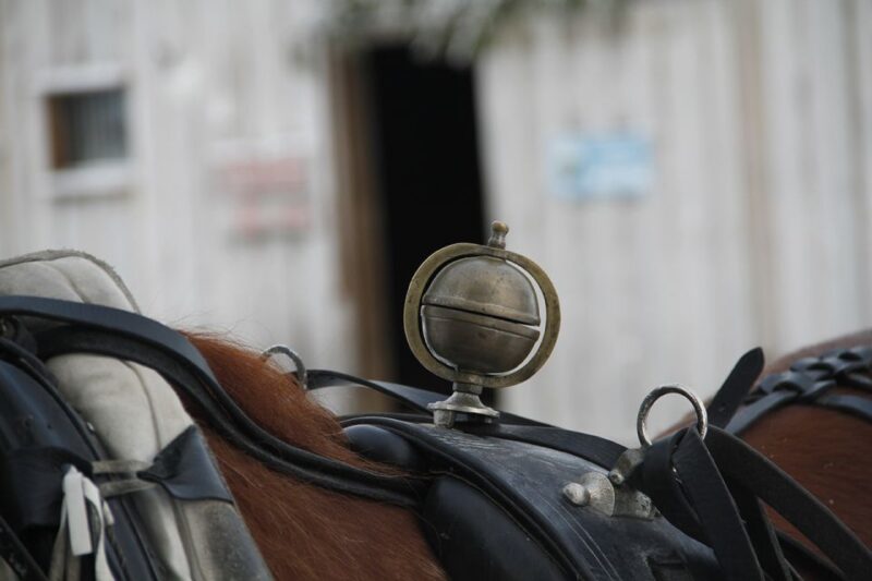 Levi, Polar Lights Tours: One Horse Open Sleigh Ride - Tour Overview