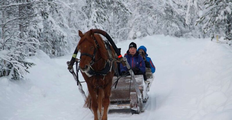 Levi, Polar Lights Tours: One Horse Open Sleigh Ride - Experience Highlights