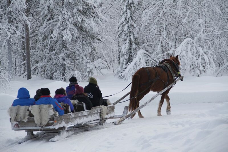 Levi, Polar Lights Tours: One Horse Open Sleigh Ride - Participant Eligibility