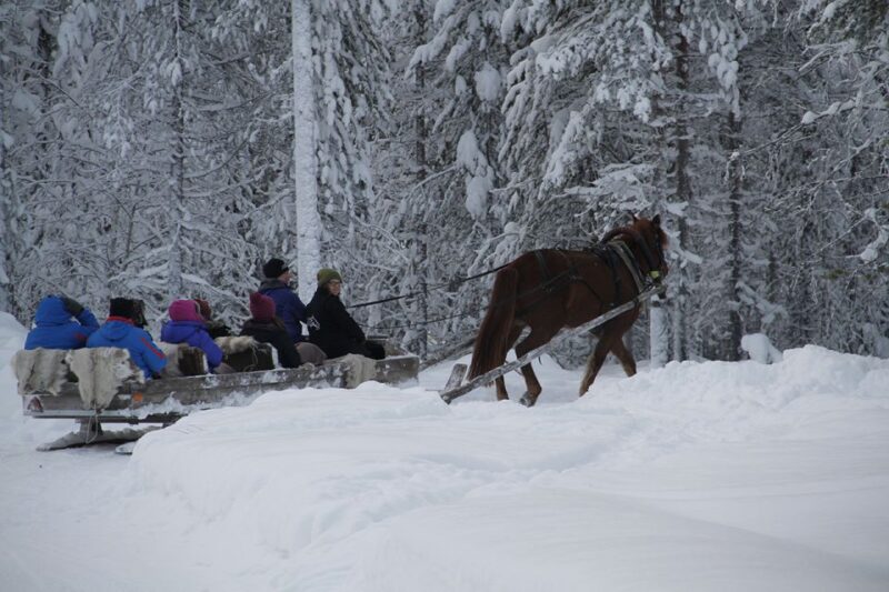 Levi, Polar Lights Tours: One Horse Open Sleigh Ride - Frequently Asked Questions