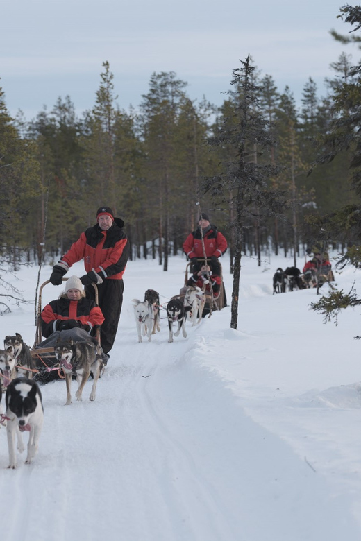Levi Polar Lights Tours: Path of the Gnome Husky Safari 15km - Good To Know