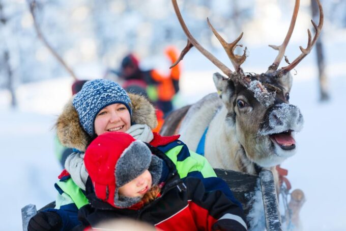 Levi: Reindeer Sleigh Ride Tour in Snowy Forest - What to Expect