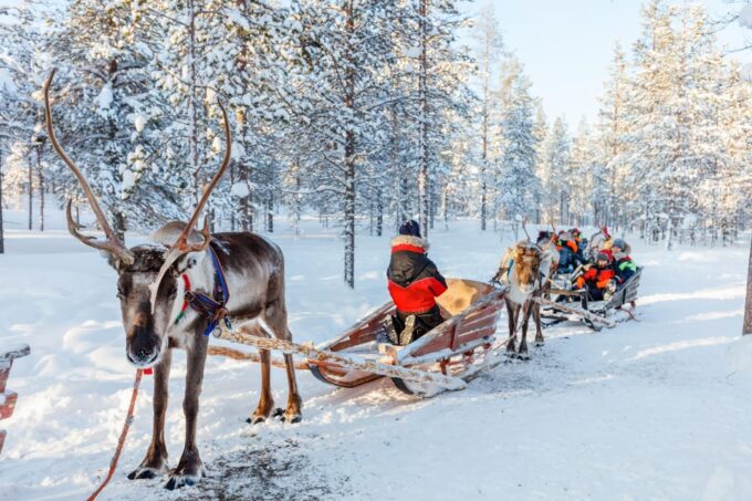 Levi: Reindeer Sleigh Ride Tour in Snowy Forest - Frequently Asked Questions