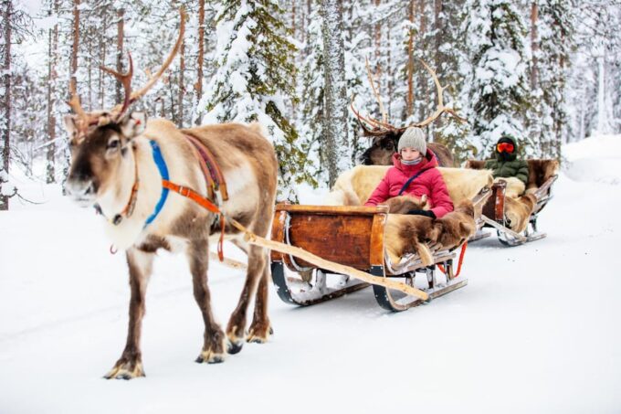 Levi: Reindeer Sleigh Ride Tour in Snowy Forest - Frequently Asked Questions