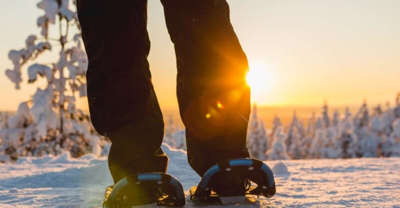 Levi: Scenic Levi Snowshoe Trip - Activity Overview