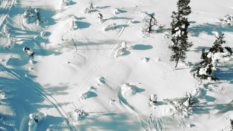 Levi: Snowshoe Adventure in the Wilderness - Photography Experience