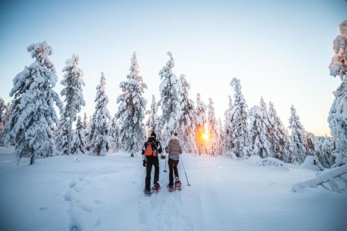 Levi: Snowshoe Adventure in the Wilderness - Pricing and Availability
