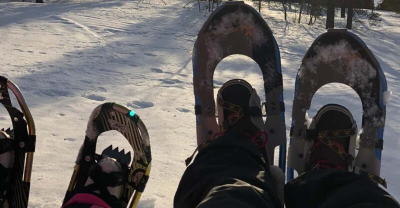 Levi: Snowshoeing and Reindeer Farm Visit - Good To Know