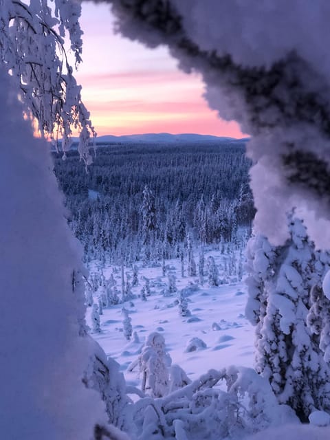 Levi: Snowshoeing and Reindeer Farm Visit - Pickup and Drop-off Locations