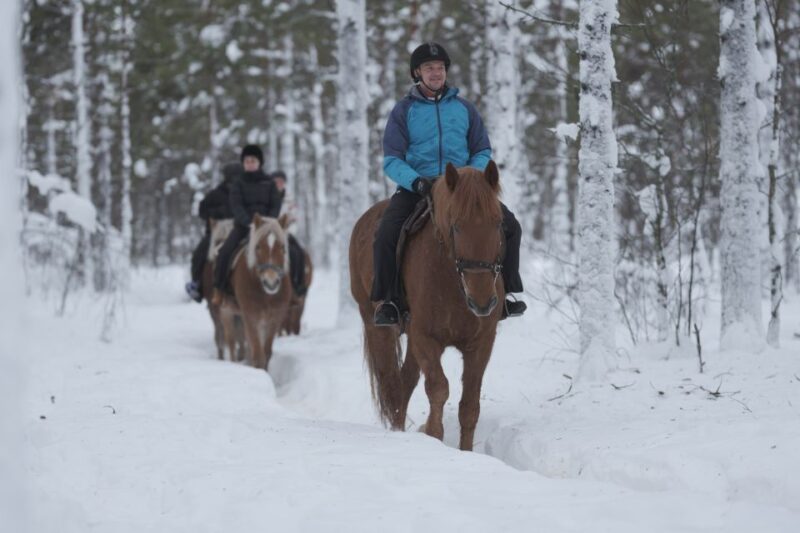 Levi: Snowy Forest Ride and Polar Lights Tours - Highlights and Inclusions
