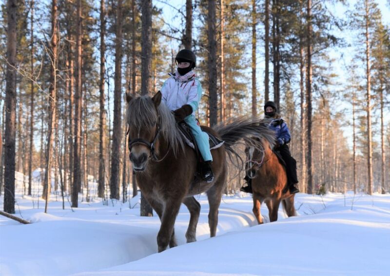 Levi: Snowy Forest Ride and Polar Lights Tours - Important Details