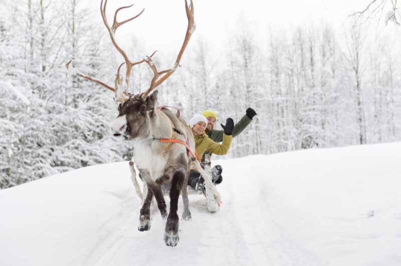 Levi: Traditional Reindeer Farm Visit & Sled Ride - Participant Details