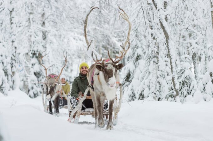 Levi: Traditional Reindeer Farm Visit & Sled Ride - Sled Ride and Photo Opportunities