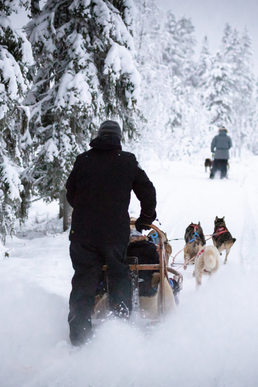 Levi: Winter Highlights Family Day - Inclusions and Requirements