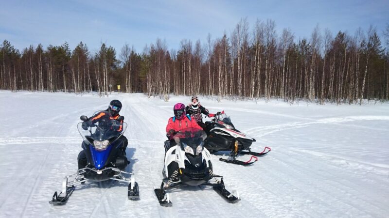 Levi: Winter Highlights Family Day With Snowmobile Safari - Activity Overview