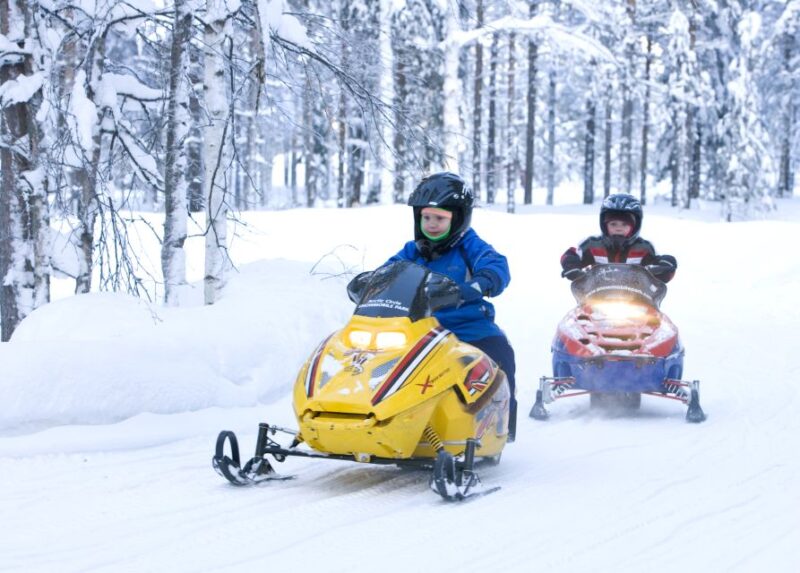 Levi: Winter Highlights Family Day With Snowmobile Safari - Inclusions and Requirements
