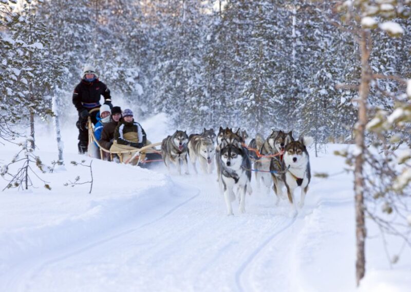 Levi: Winter Highlights Family Day With Snowmobile Safari - Important Details