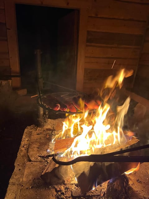 Levi: Winter Northern Lights Adventure - Itinerary