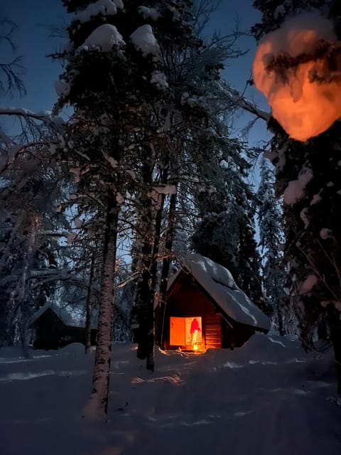 Levi: Winter Northern Lights Adventure - Northern Lights Viewing
