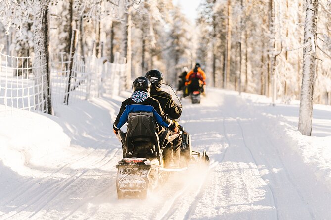 Levifell Tour - Scenic Snowdrifts and Reindeer