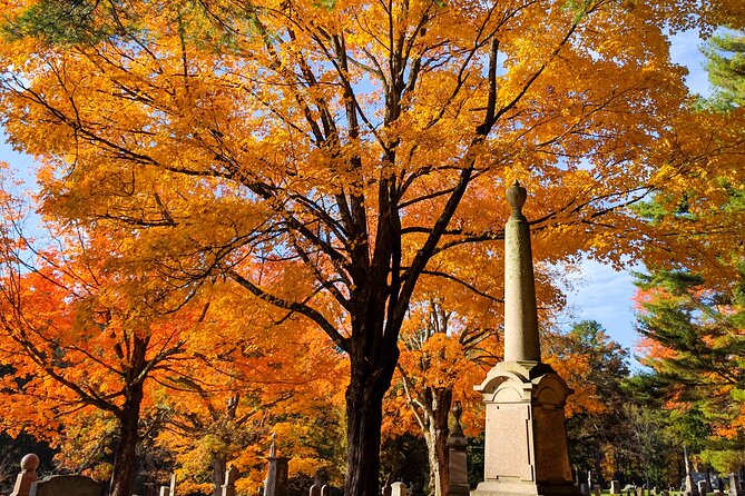 Lexington and Concord Private Driving Tour - Tour Details