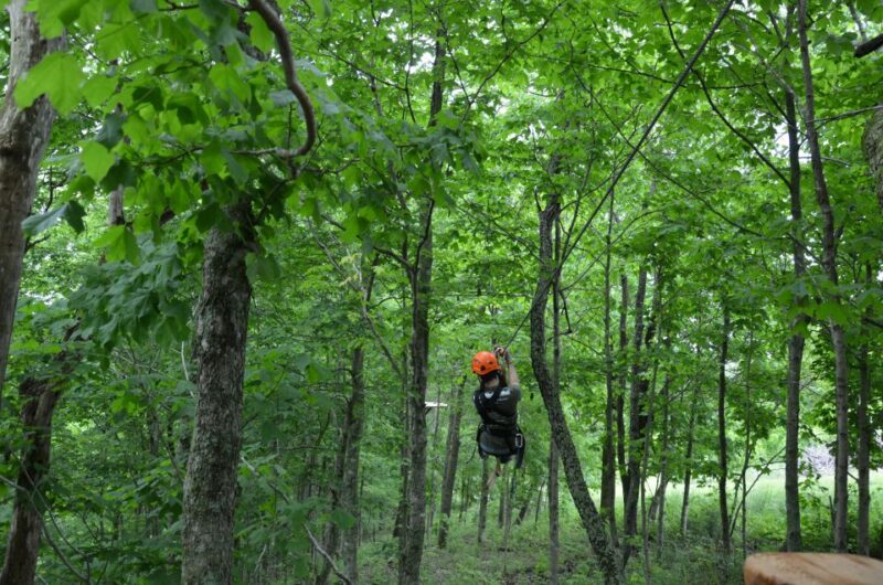 Lexington: Fully Guided Zipline Canopy Tour - Experience Highlights