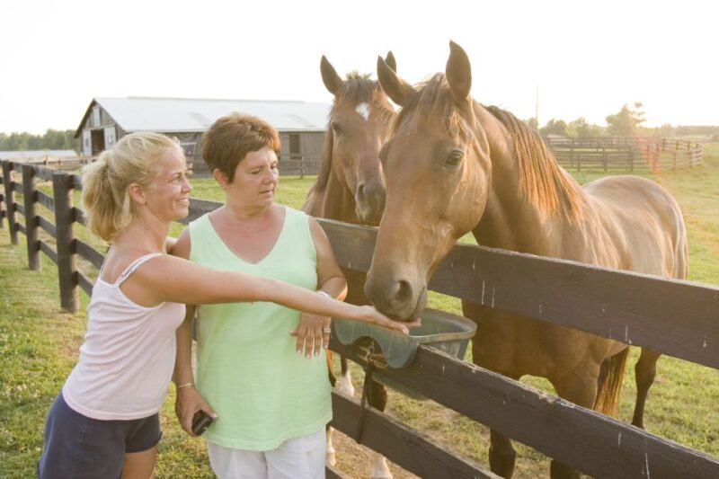 Lexington: Thoroughbred Horse Farm Tour and Keeneland Visit - Tour Highlights