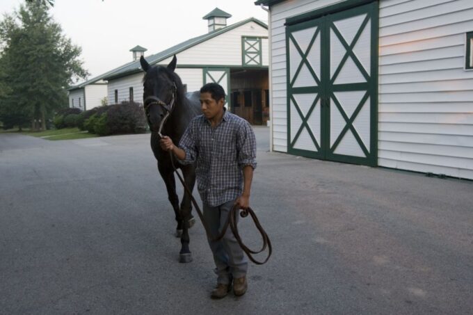 Lexington: Thoroughbred Horse Farm Tour and Keeneland Visit - Thoroughbred Horse Farm Visits