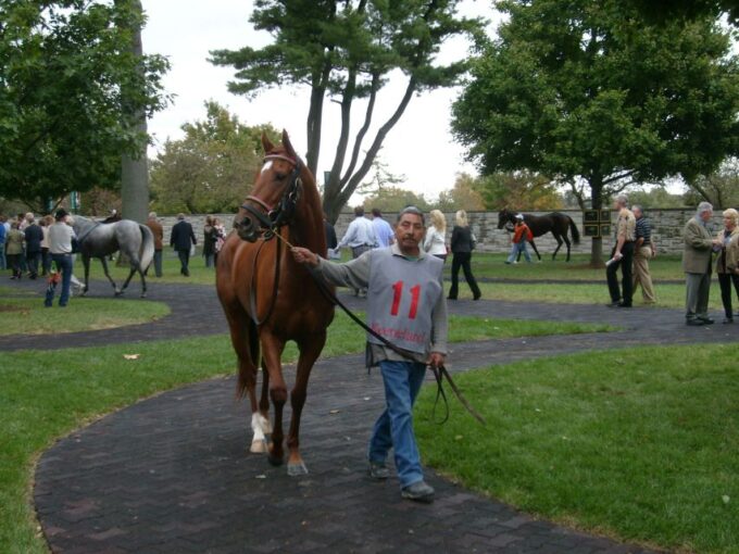 Lexington: Thoroughbred Horse Farm Tour and Keeneland Visit - Guided Tour of Keeneland Race Course
