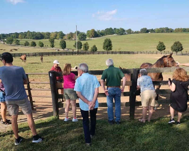 Lexington: Thoroughbred Horse Farm Tour and Scenic Bluegrass - The Itinerary: What to Expect