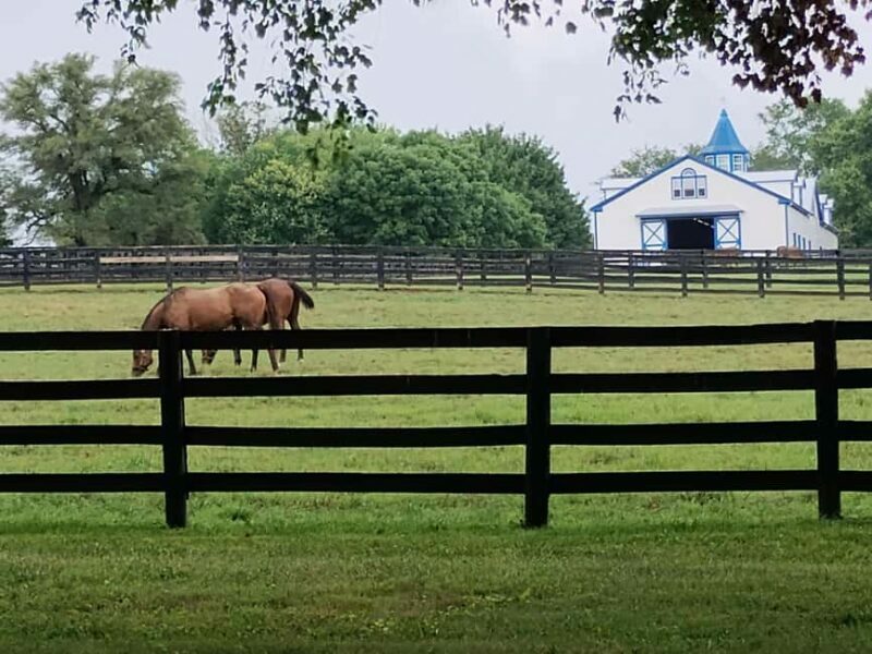 Lexington: Thoroughbred Horse Farm Tour and Scenic Bluegrass - Practical Tips for Travelers