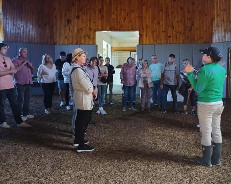 Lexington: Thoroughbred Horse Farm Tour and Scenic Bluegrass - Authentic Experiences and Authentic Guides