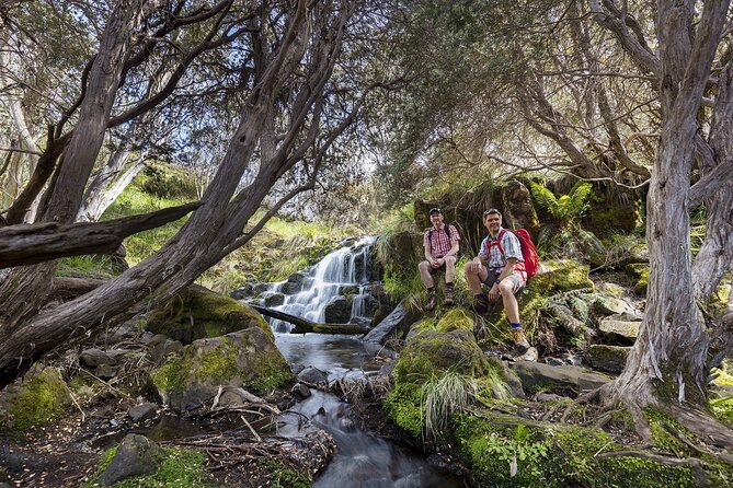 LGBTQ+ Friendly 9-Hour Great Ocean Road Private Tour - Tour Highlights