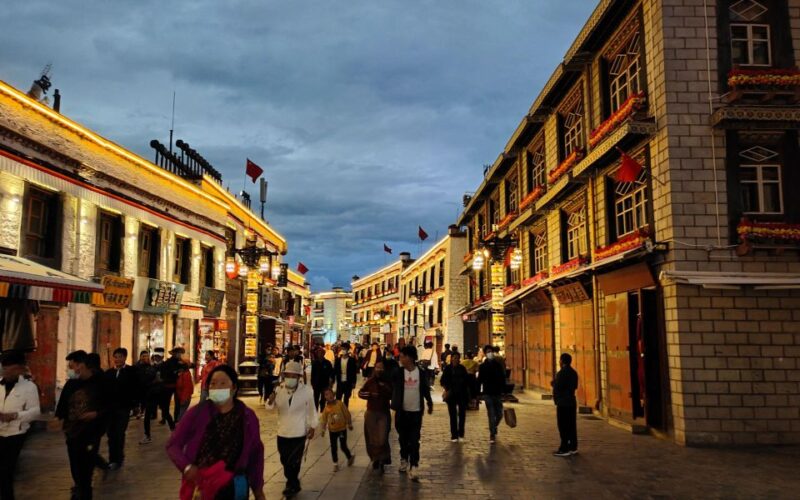 Lhasa: Private Full-Day Tour W/ Lunch - Potala Palace Highlights