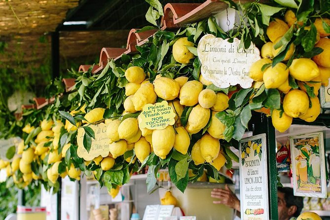 Li Galli Islands and Capri Small Group Boat Tour From Amalfi - Cancellation Policy