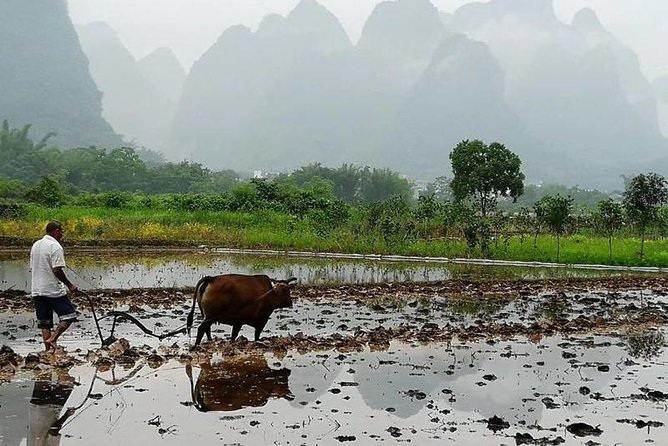 Li River Bamboo Boat Cruise & Yangshuo Village Private Day Tour - Pickup and Departure