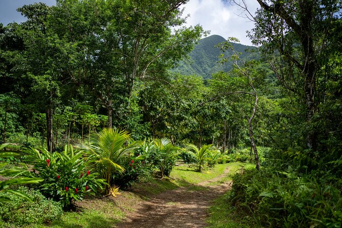 Liamuiga Natural Farm Tour - Tour Overview